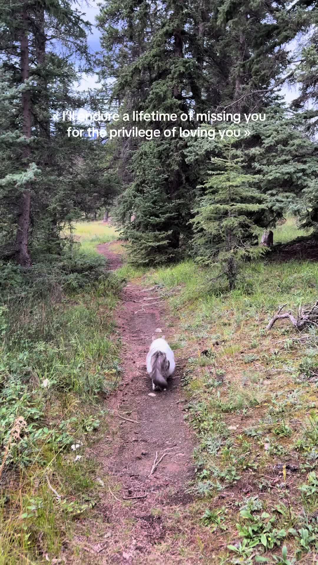 @Caro.adventures