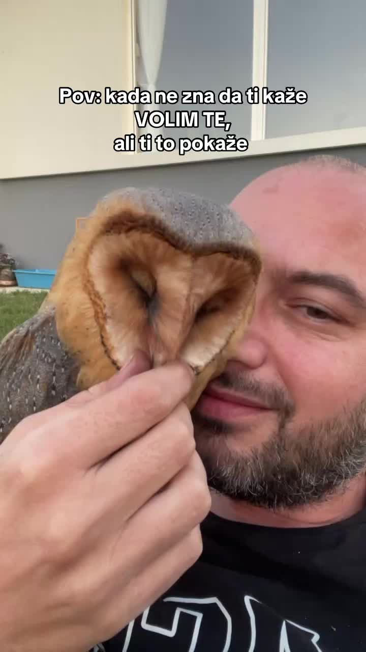 @🐺 Adrijan 🐺