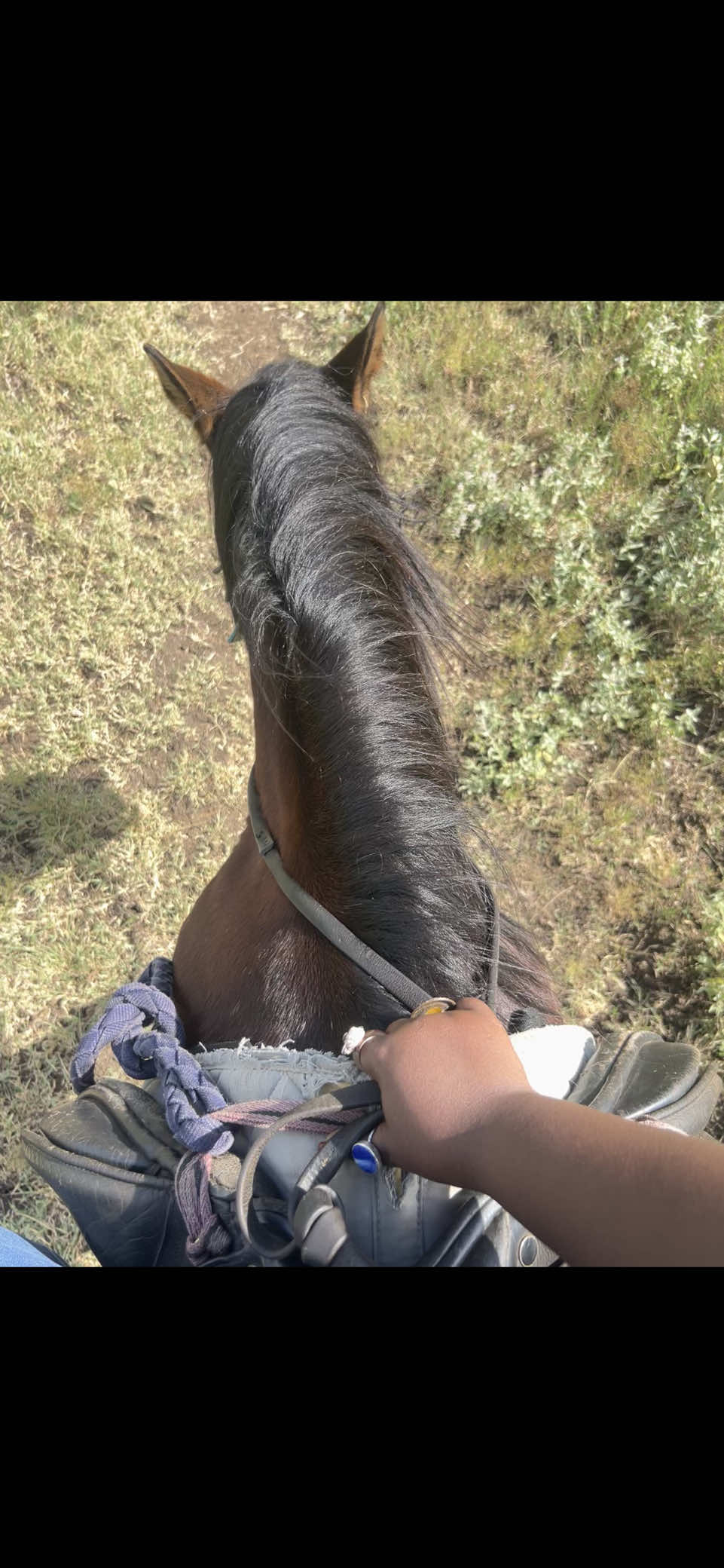@Wanjira