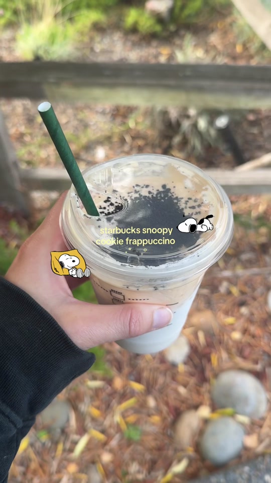 @𖦹 logan's lately ✩