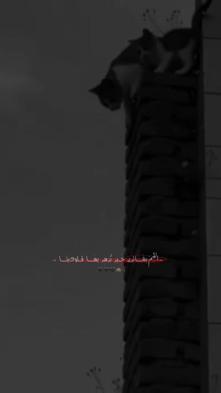 @تَرْتِيلٌ | Tartil