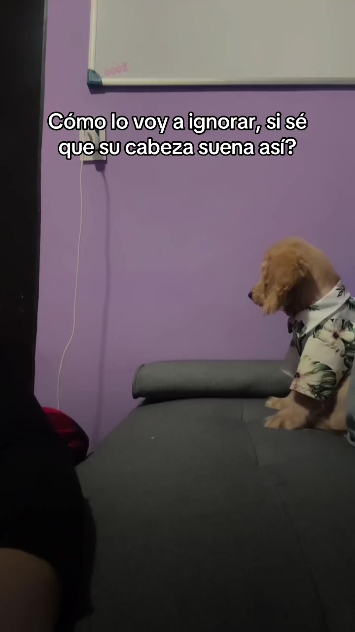 @Selene Ruiz