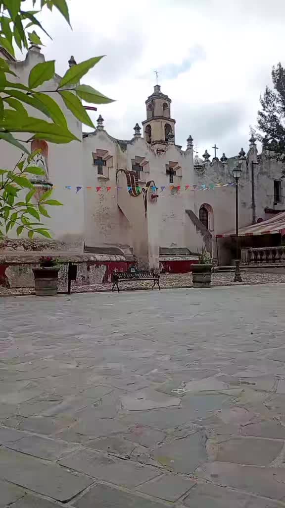 @maryvillasana433