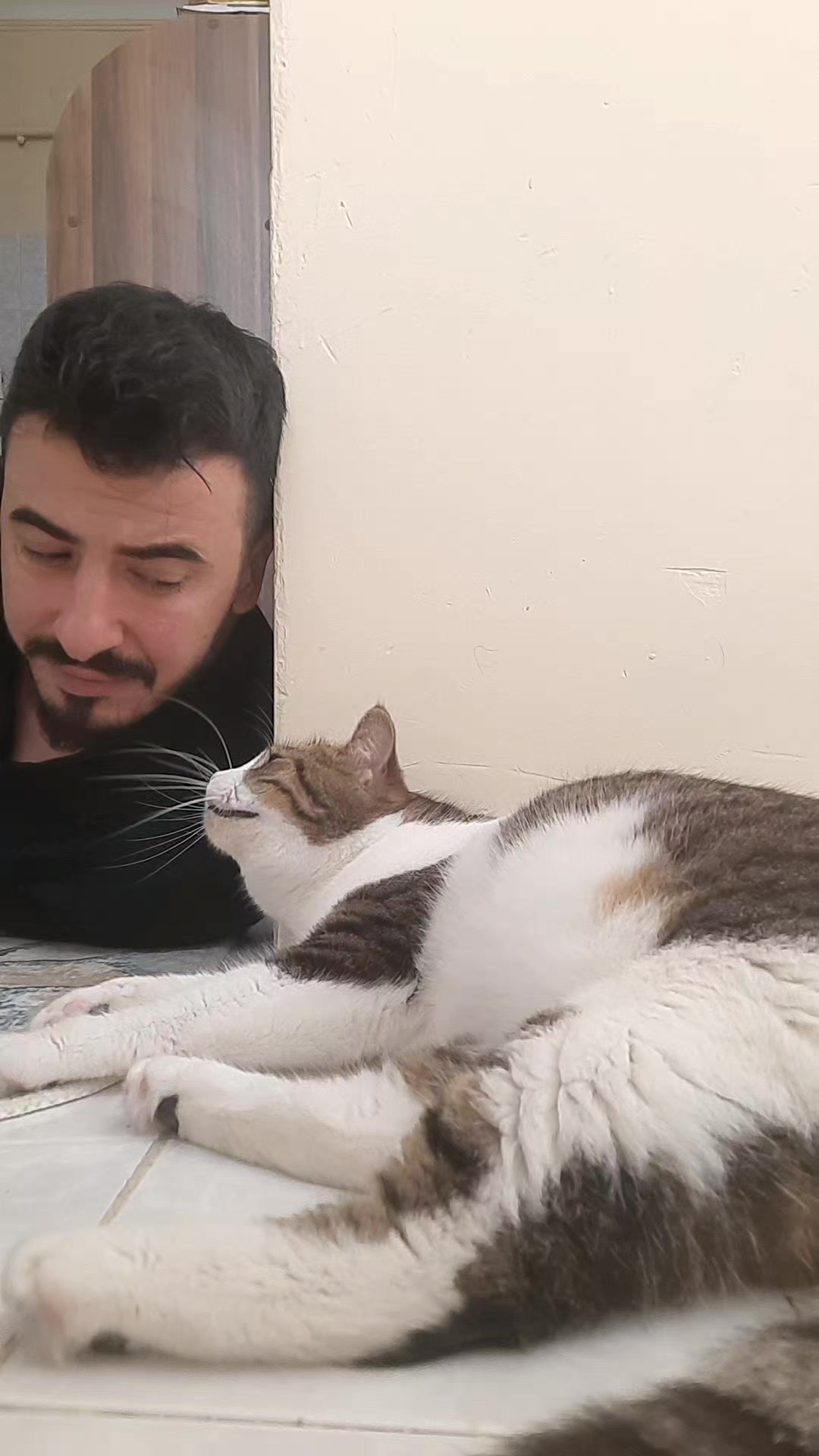 @Metin Doğan