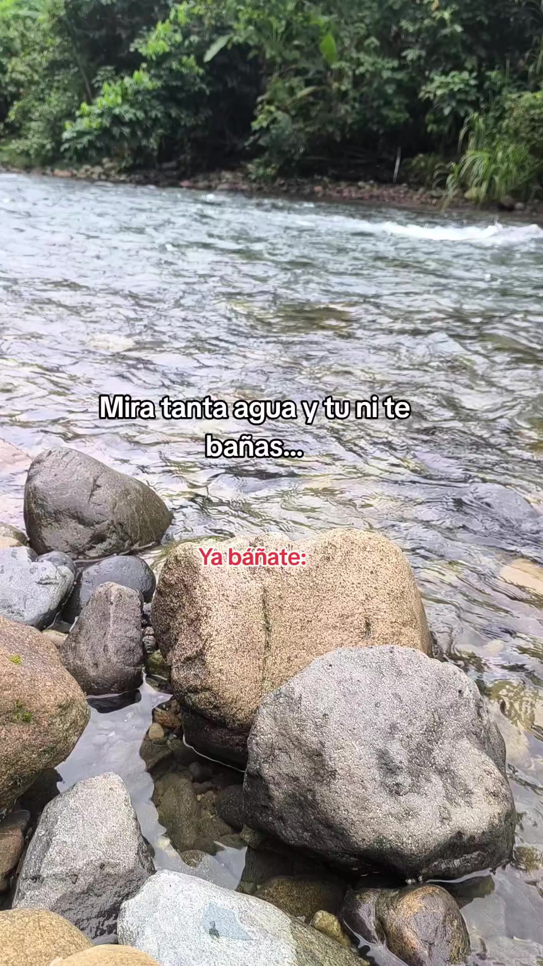 @Dulce Alexiita