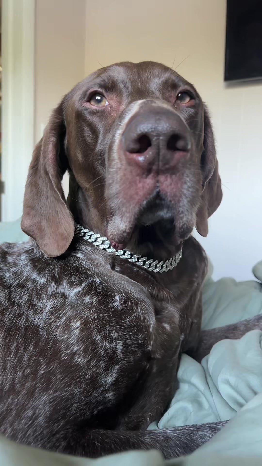 @Halle 💋 🪩 🍒
