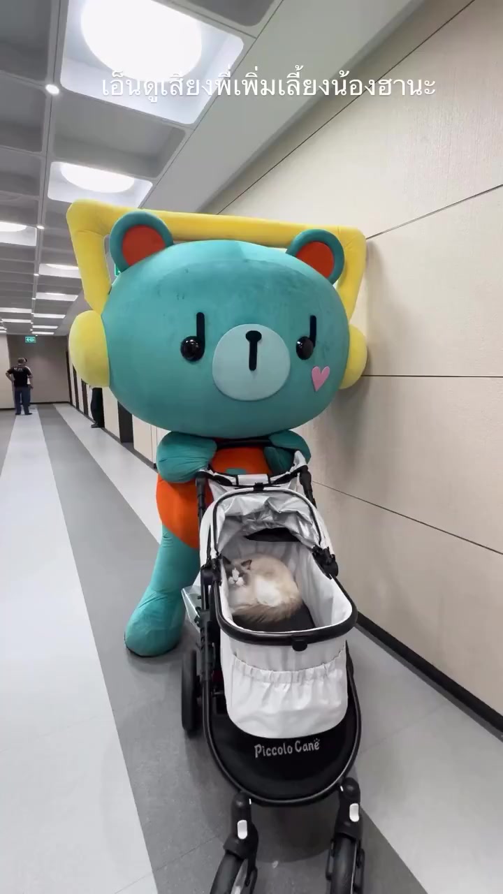 @âđđŚđ¨đđđĽđđđđâââđźđť