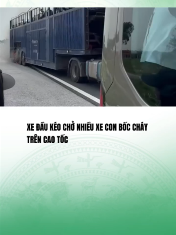 @APP TRUYỀN HÌNH VTVCAB