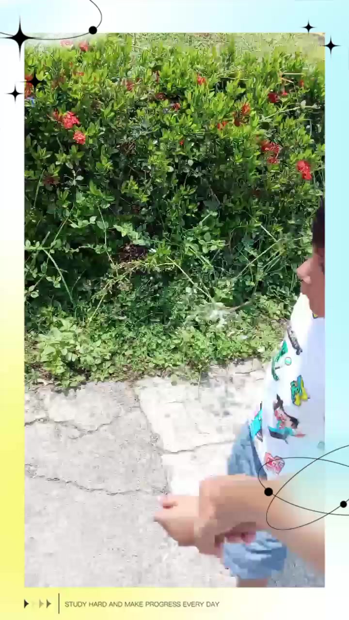 @Yaque Morales