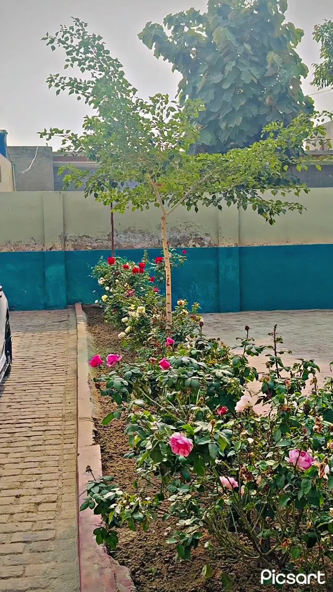 @👑 انیس خان 👑