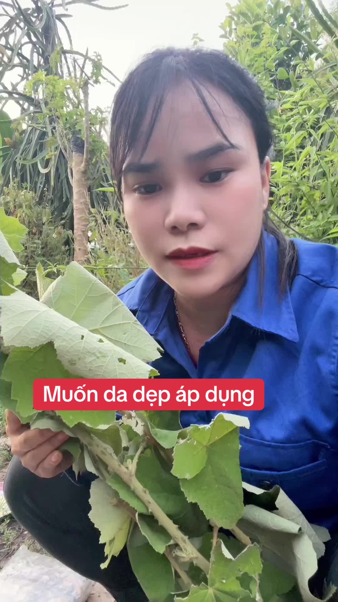 @Ngọc Chinh Miền Núi
