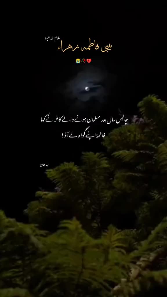 @حسسینی لڑکی🧕🏻😌