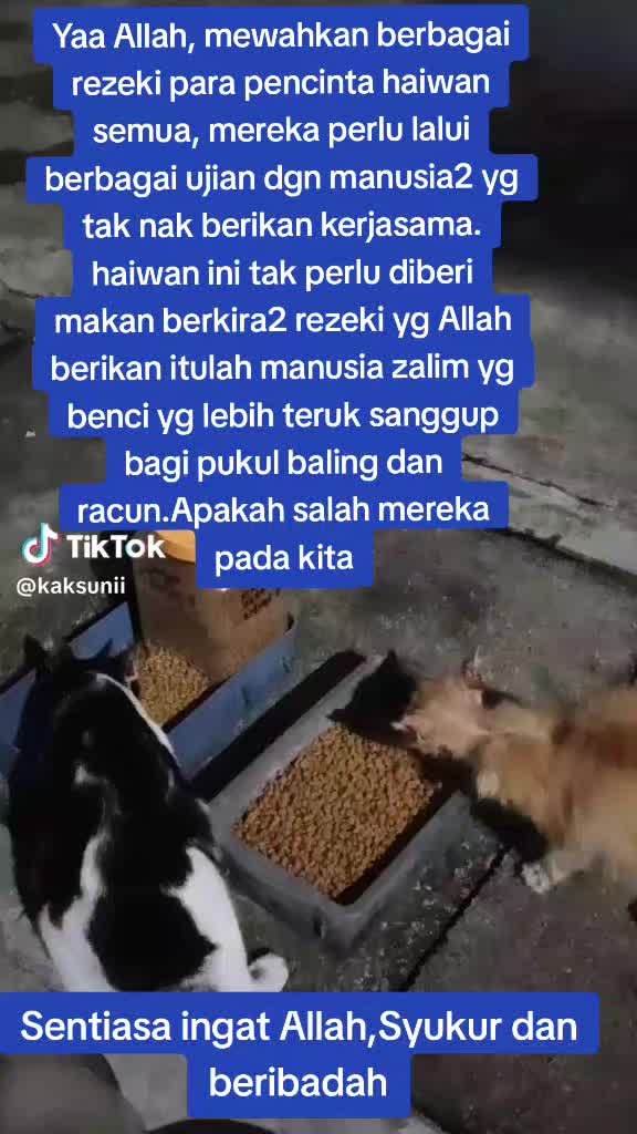 @Shane Anani