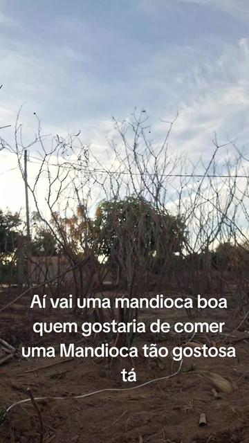 @francisco
