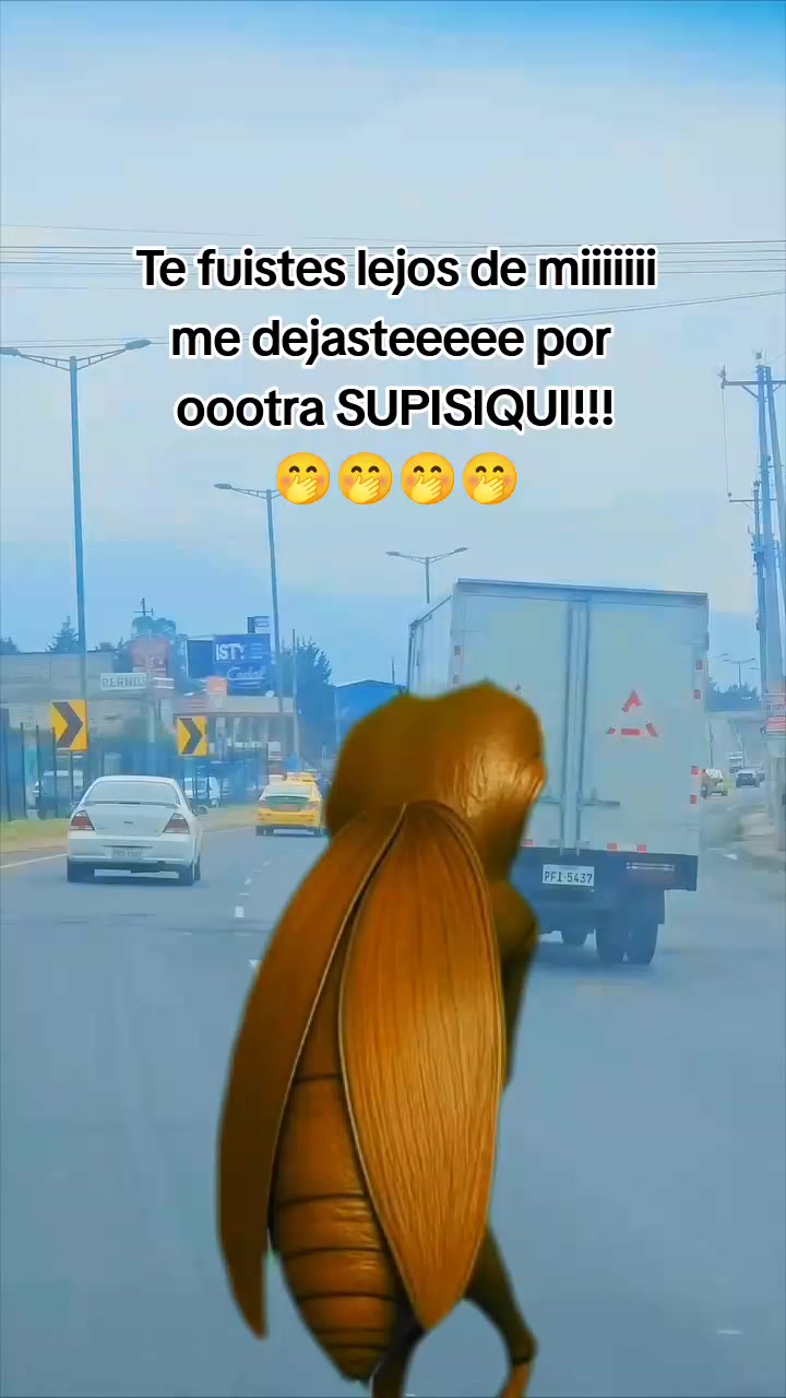 @Rosita Mu&ntilde;oz