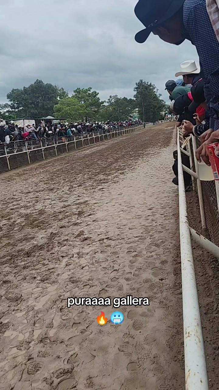 @carriles altos de jalisco🐎
