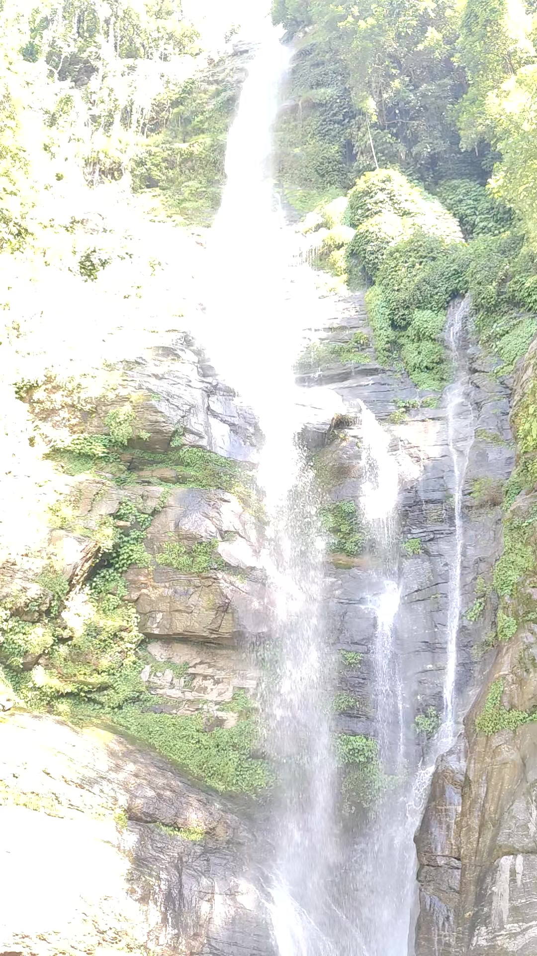 @Mangala Kandel