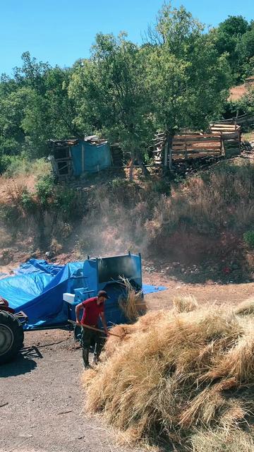 @Doğada yaşam