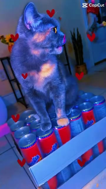 @𖤐☽♡ꕤ❀ℒ𝓊𝓃𝒶ℳ𝒶𝓎𝒶❀ꕤ♡☽𖤐