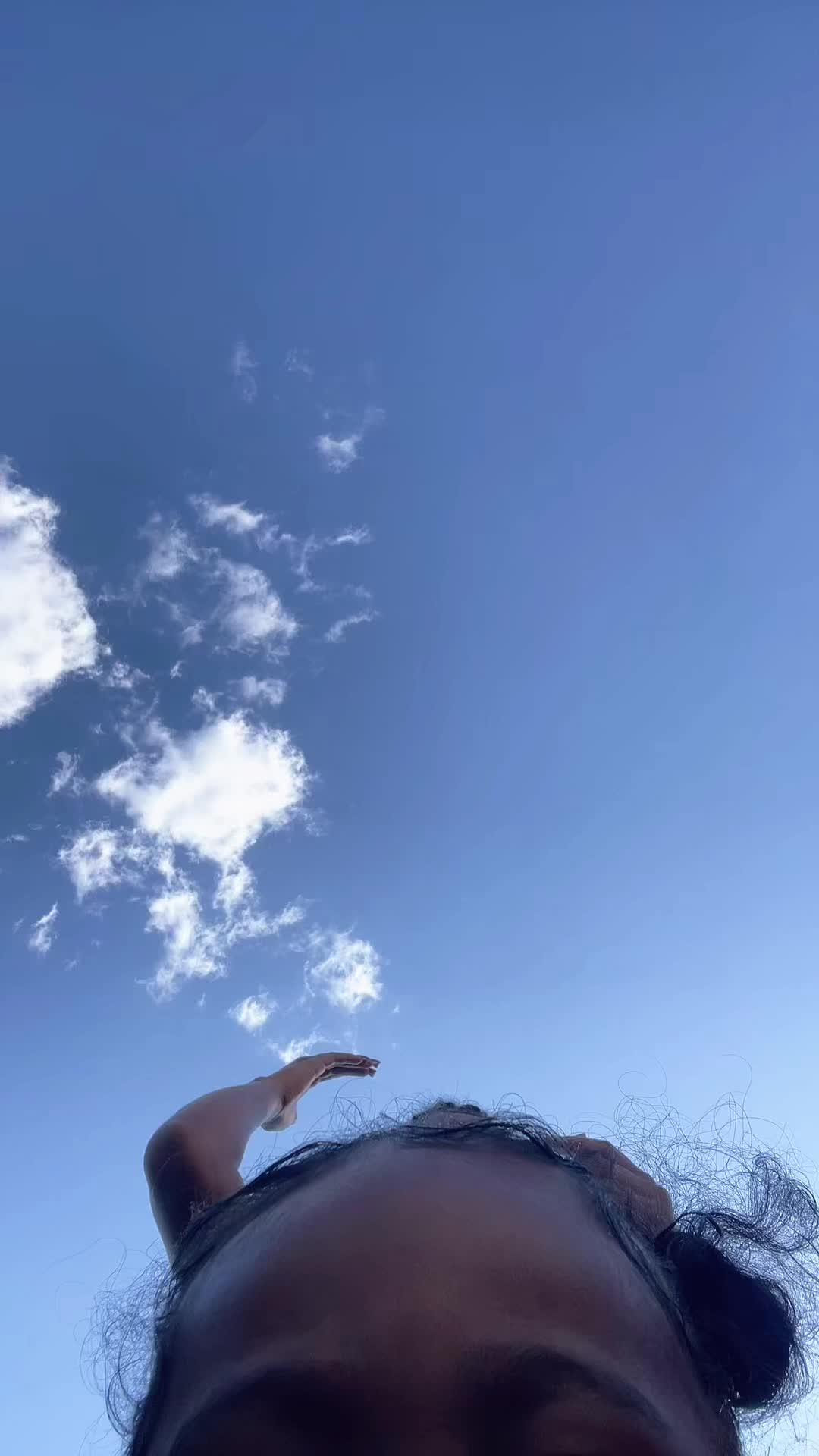 @carolinaibarra3953
