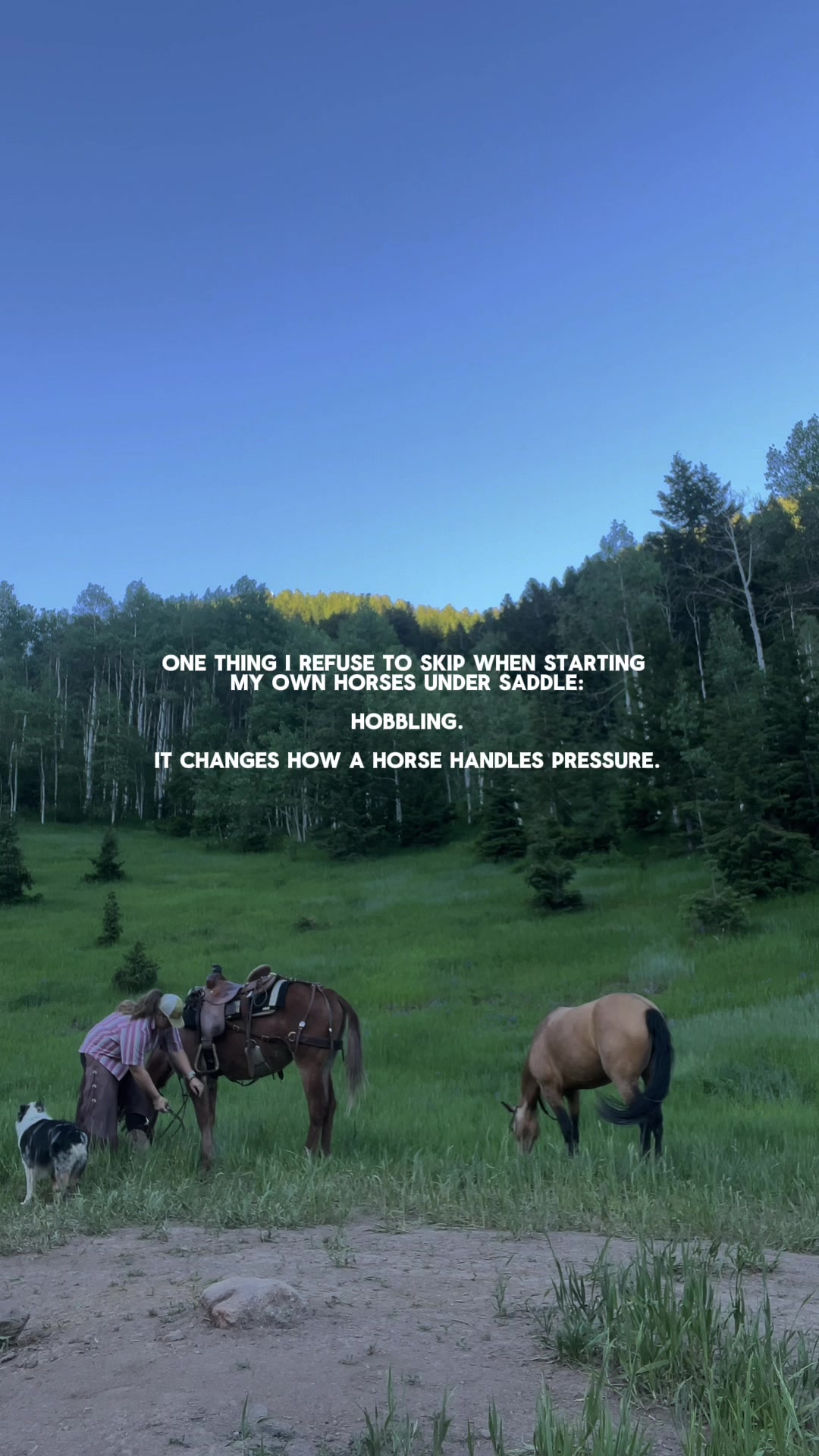 @wild.horsewoman