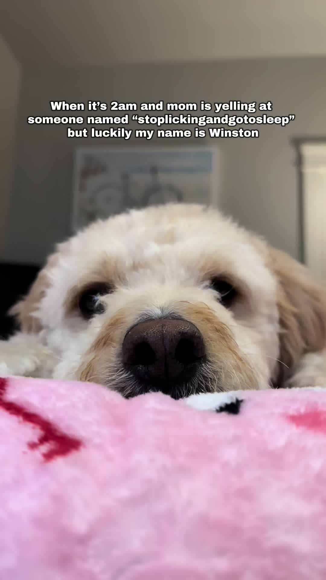 @Winston