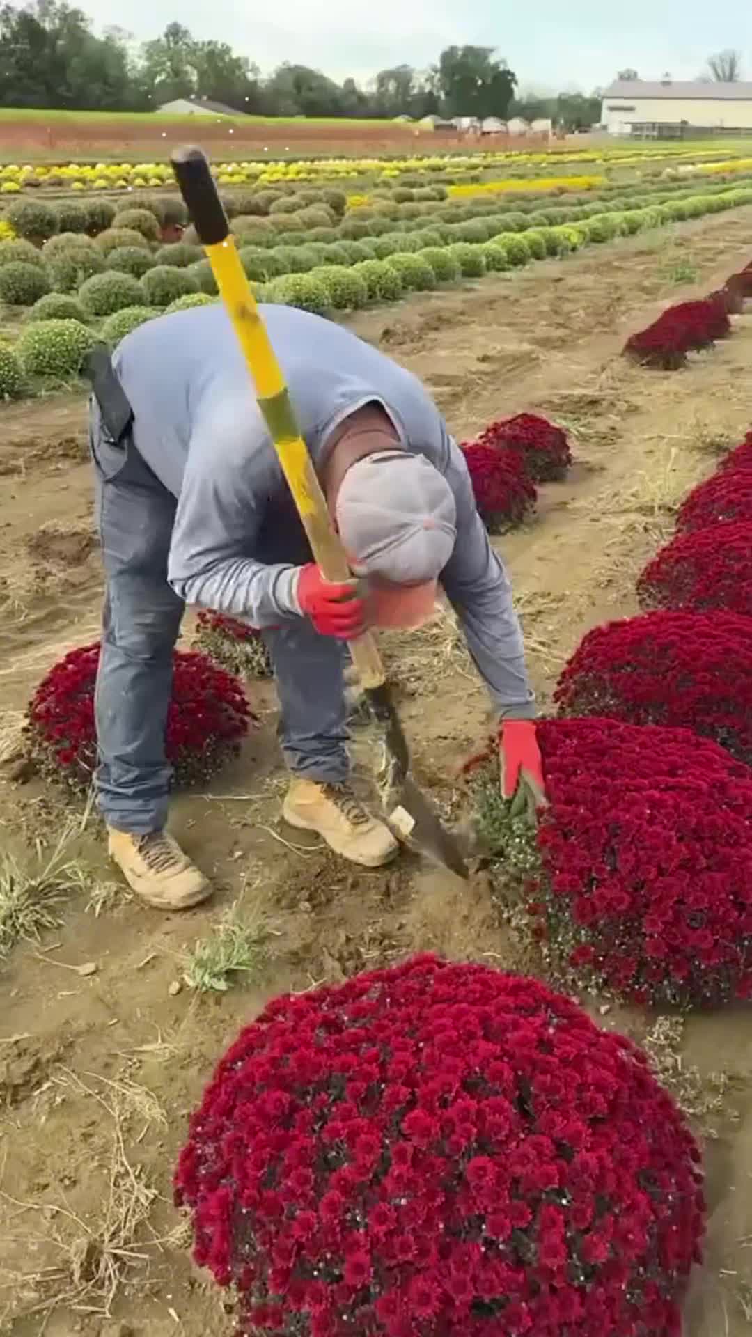 @user6334573092373