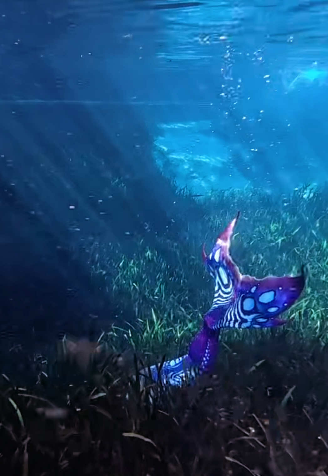 @Muse the Mermaid