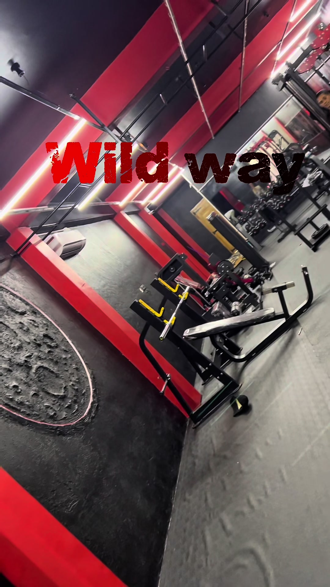 @Wildway photography 📸