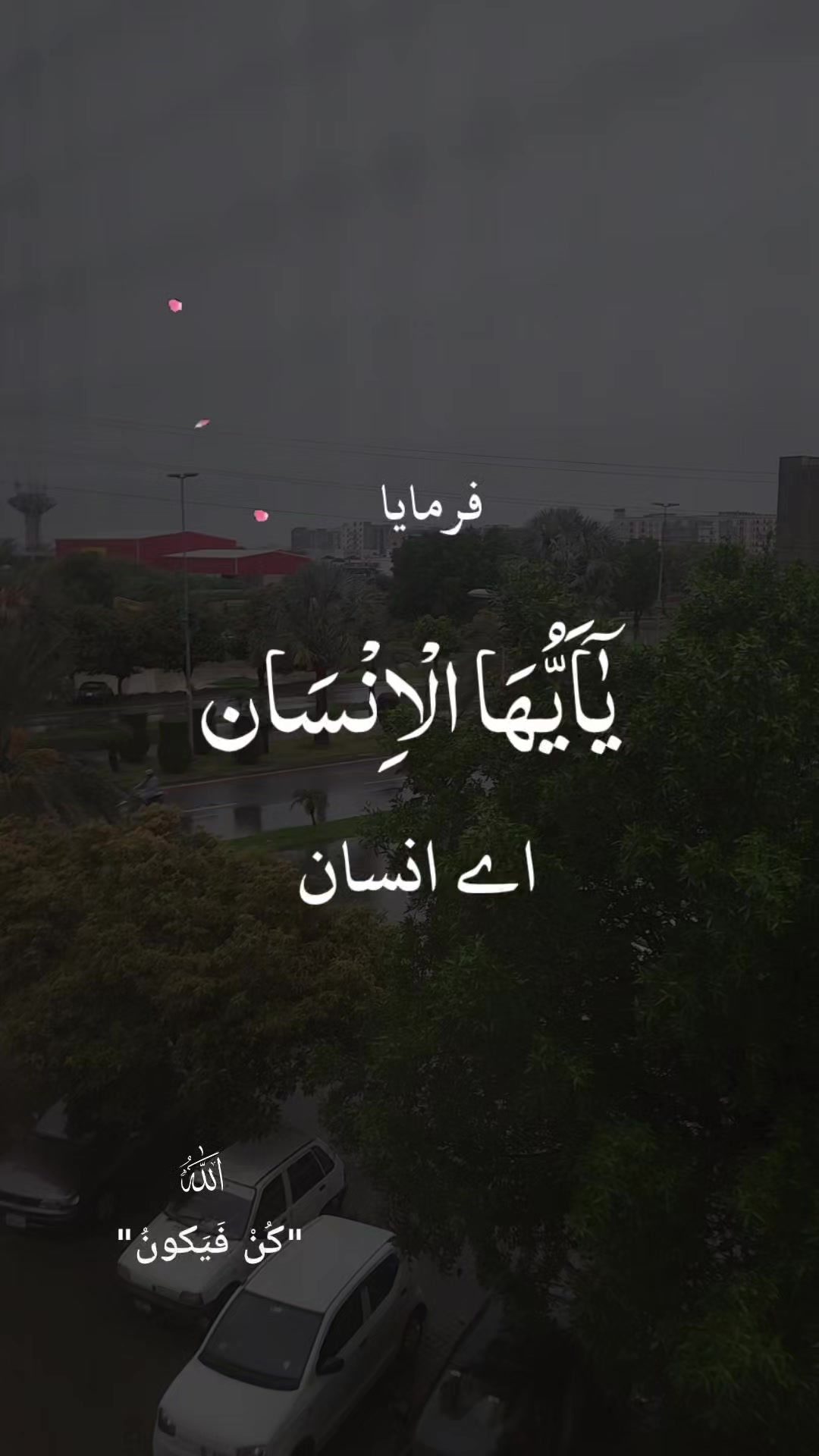 @Abrar Bahria TPN