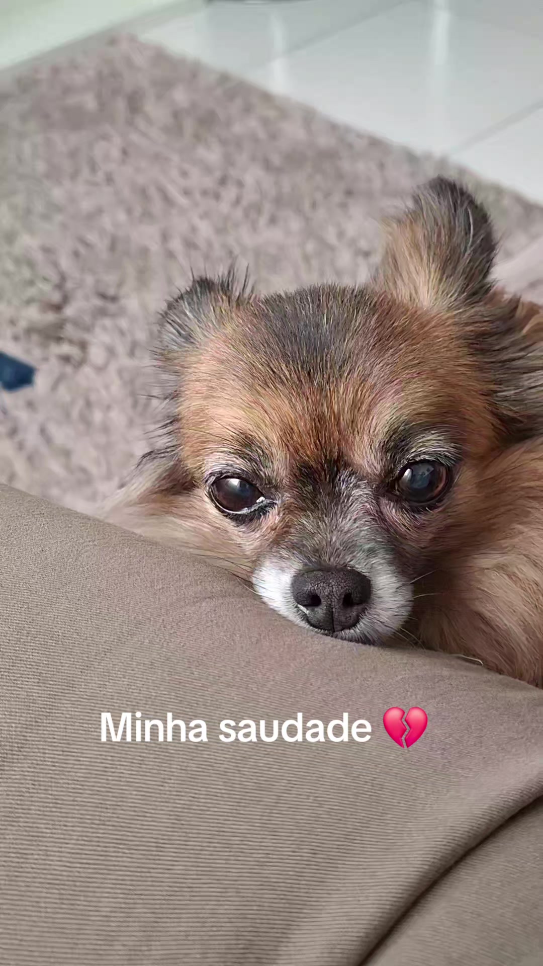 @✨️Mah Proensa✨️