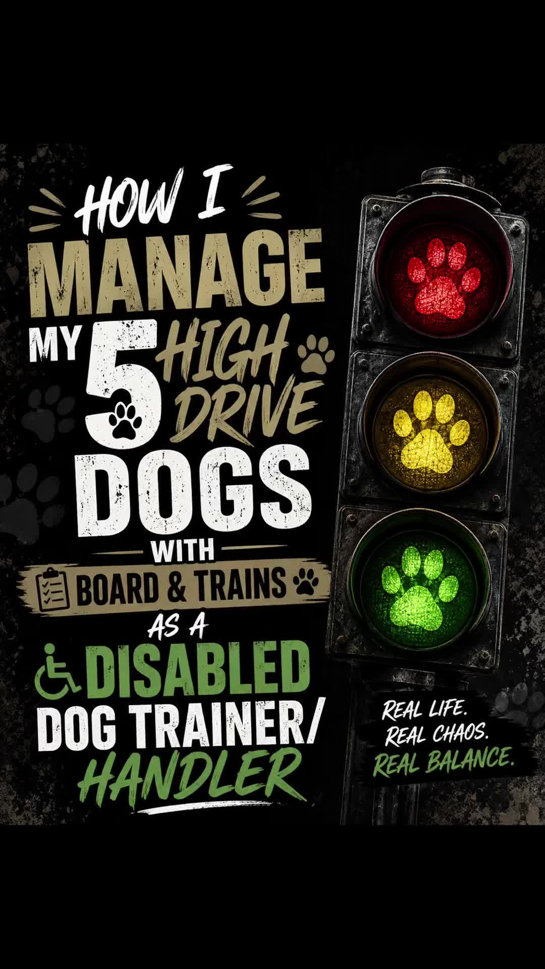 @ladyvetandherpack