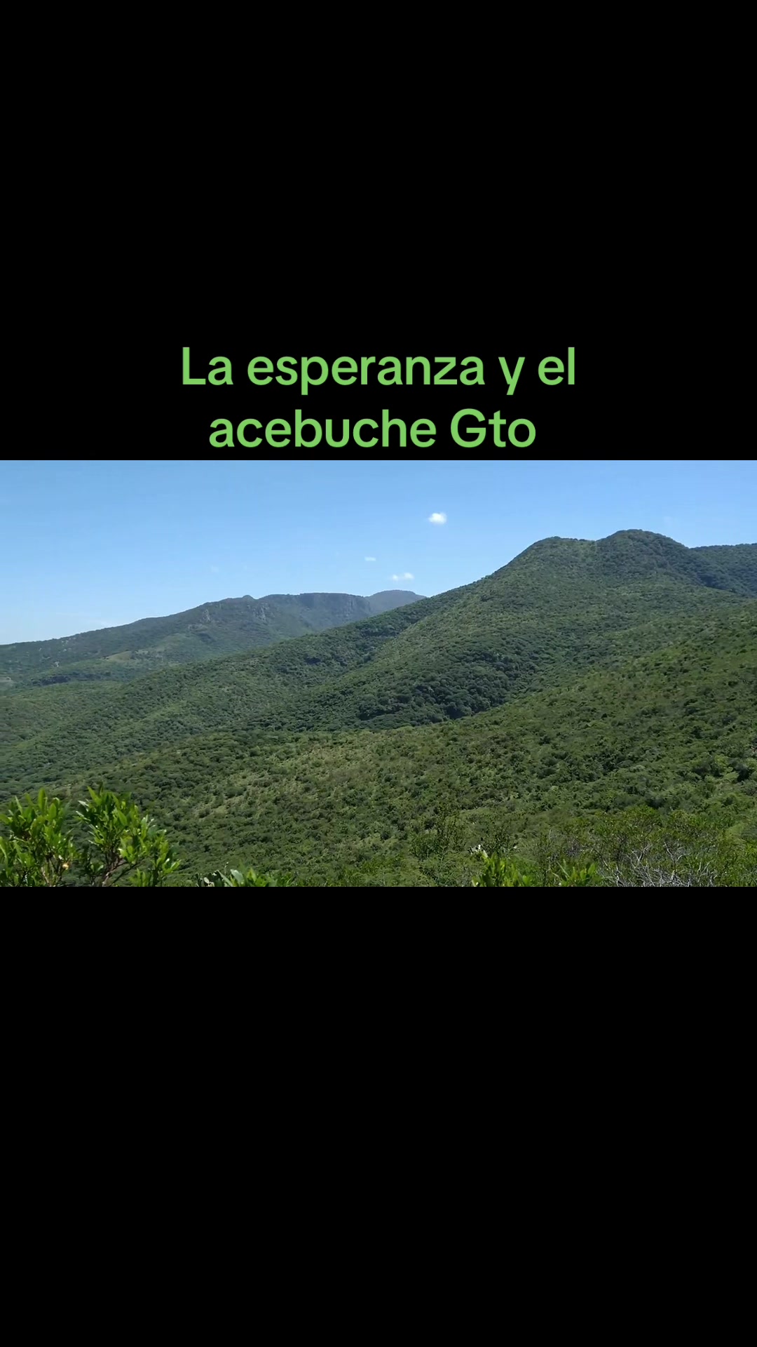 @antonysaavedra55