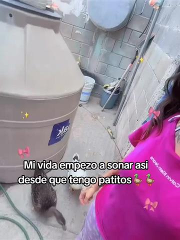 @Lizbeth S'g
