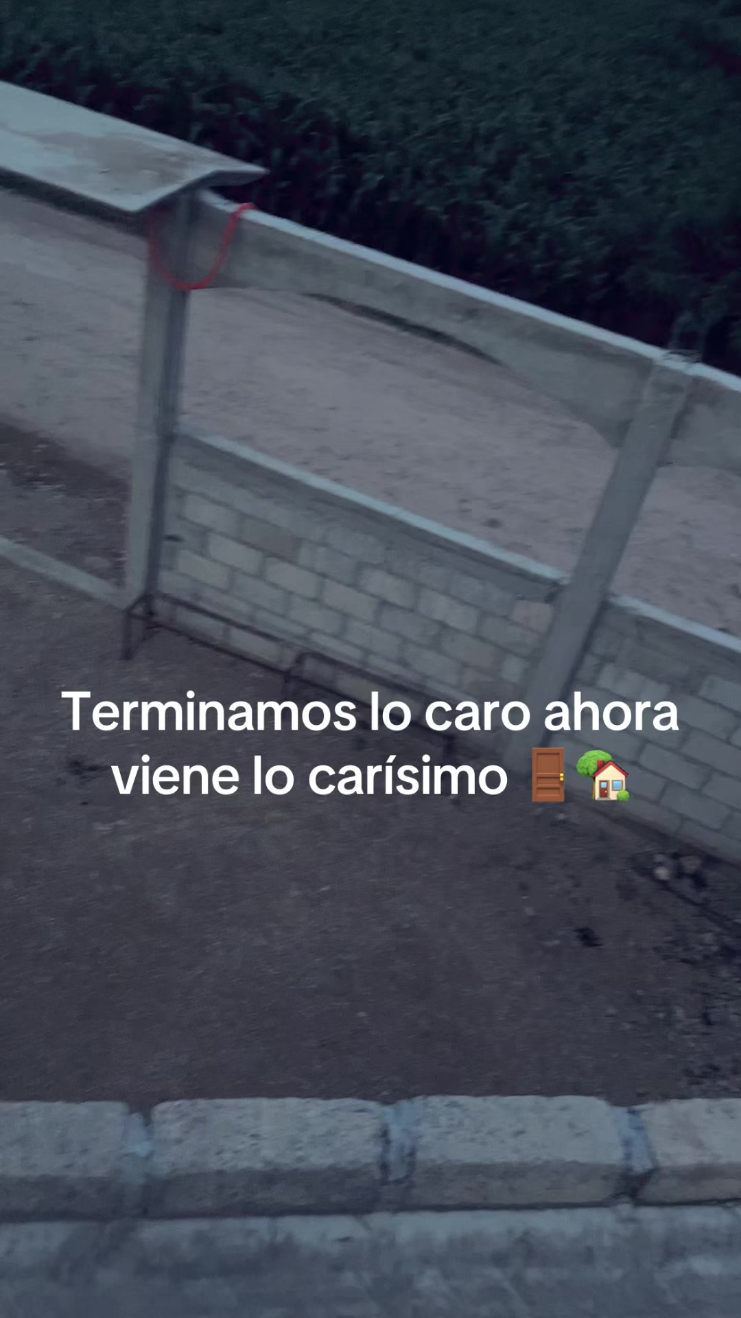 @wendycuevas