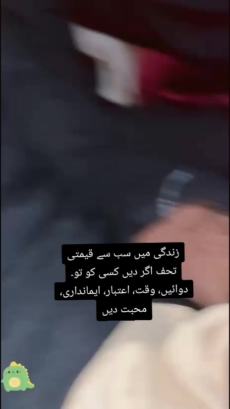 @علی حسنین جوڑا (سرگودھا آلہ)🚩