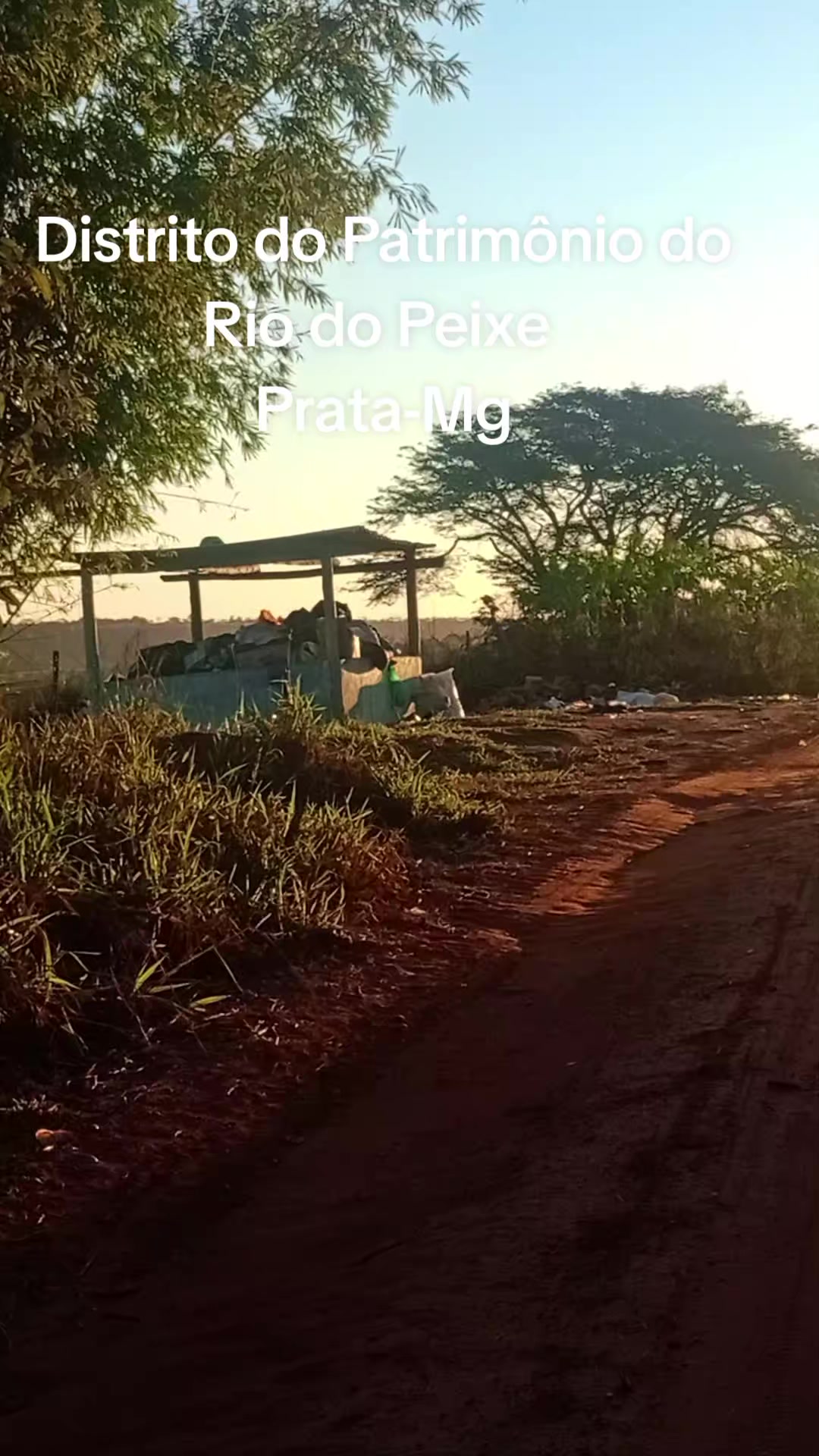 @Adriana Aparecida Si