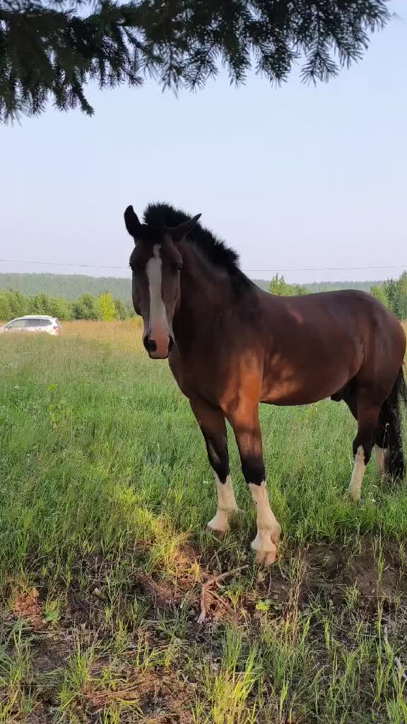 @Юлия