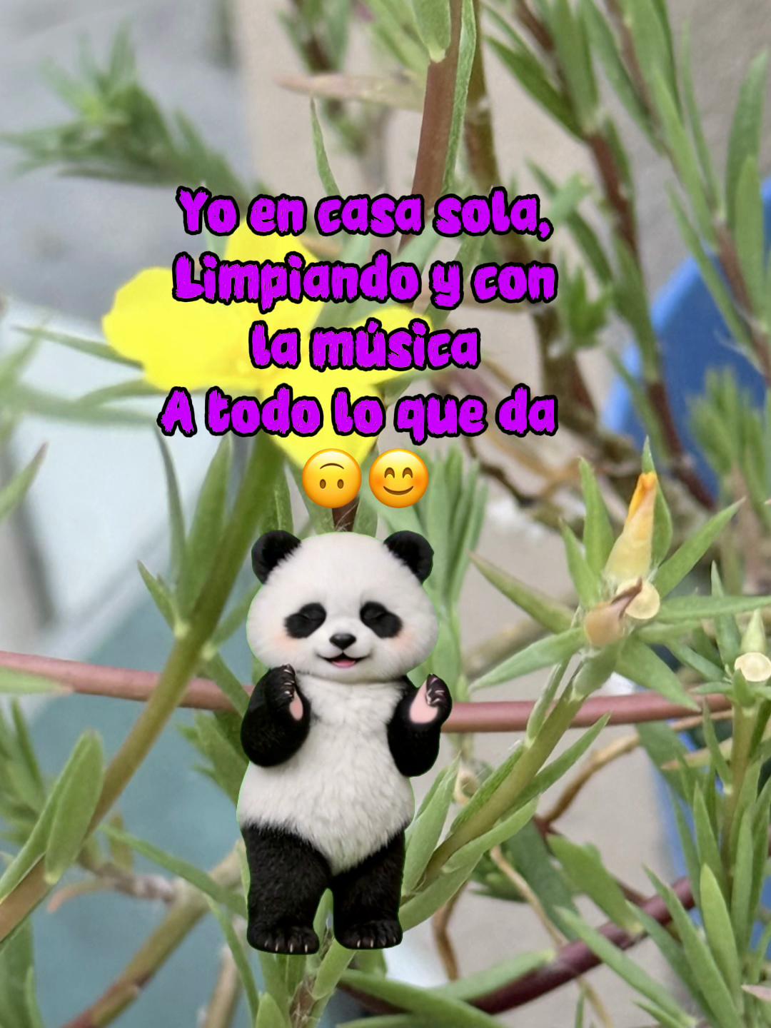 @Sol