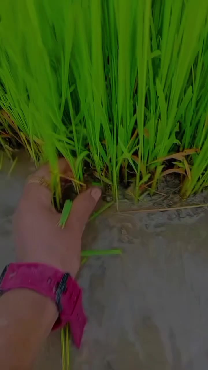 @💧~स्वस्तिका~💧