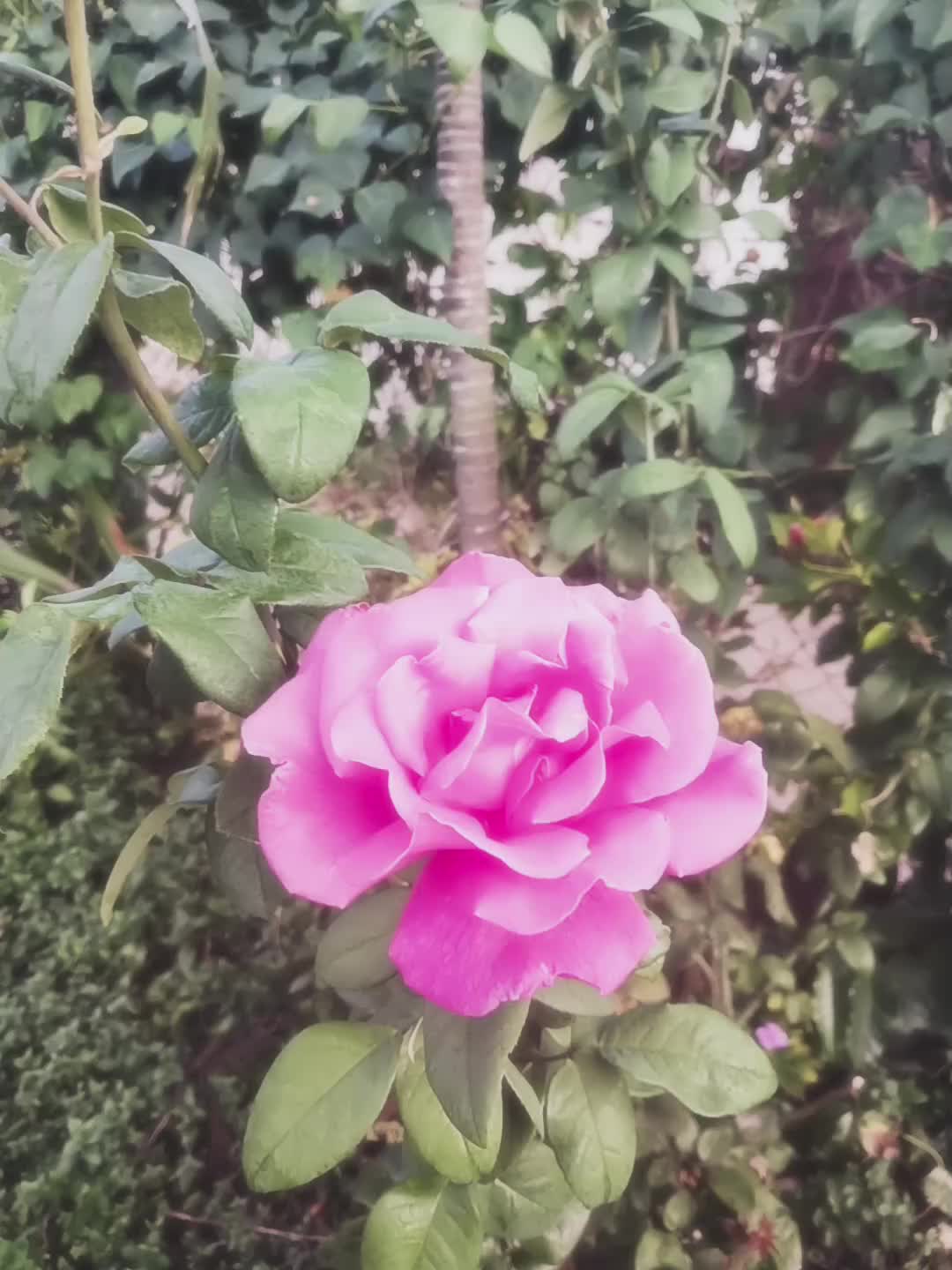 @𝓜𝓪𝓻𝓵𝔂𝓷