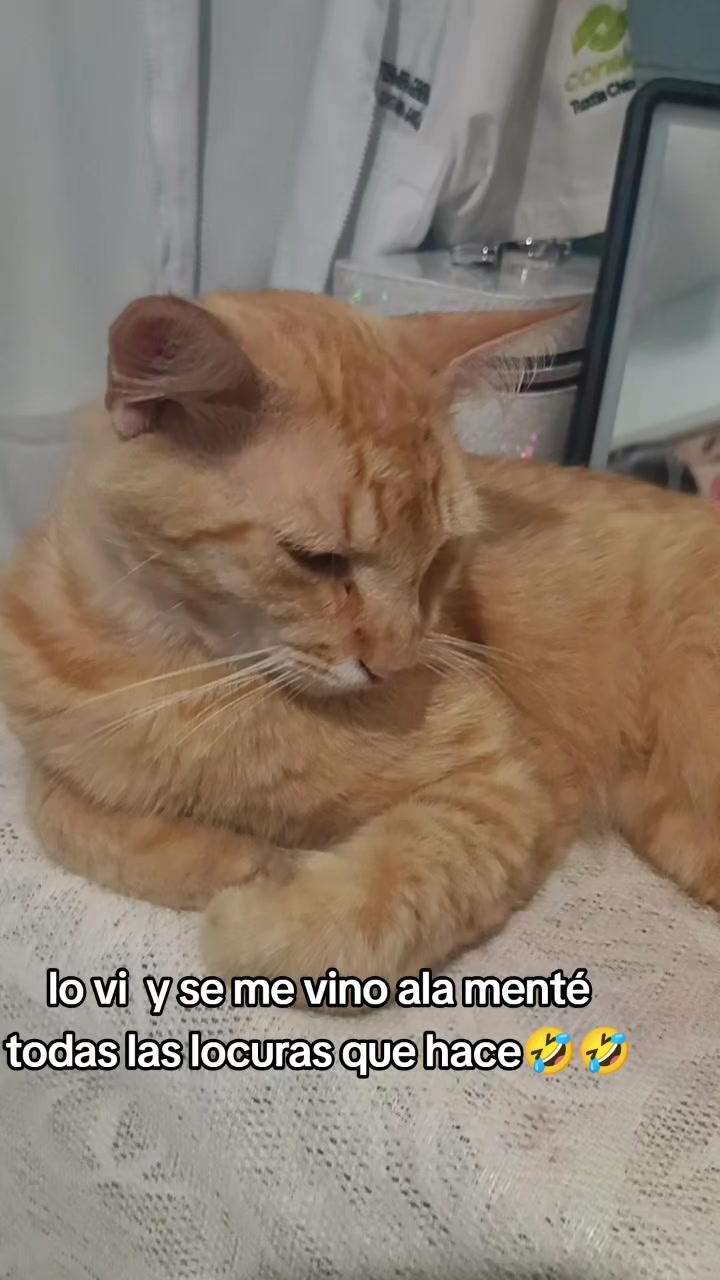 @Lù García❤️