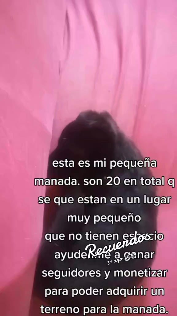 @Angela Aguirre