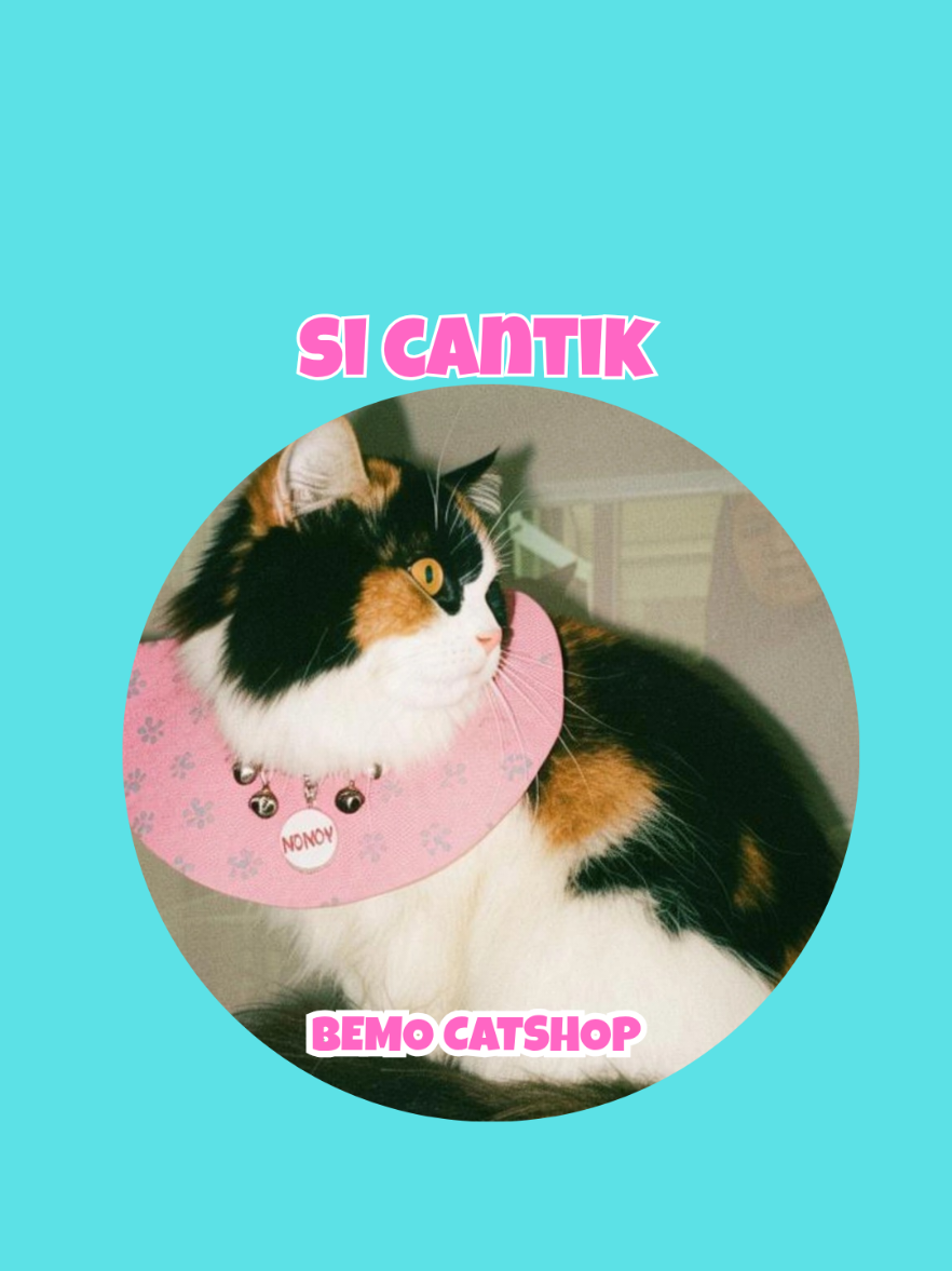 @Bemo Catshop