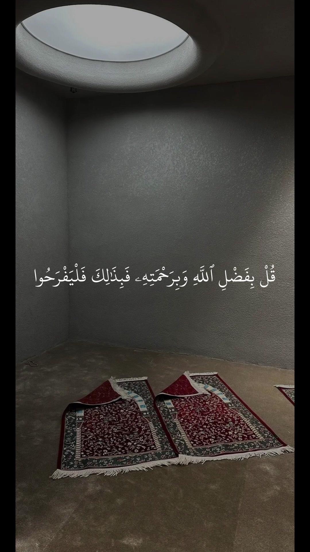 @Quan|قران كريم