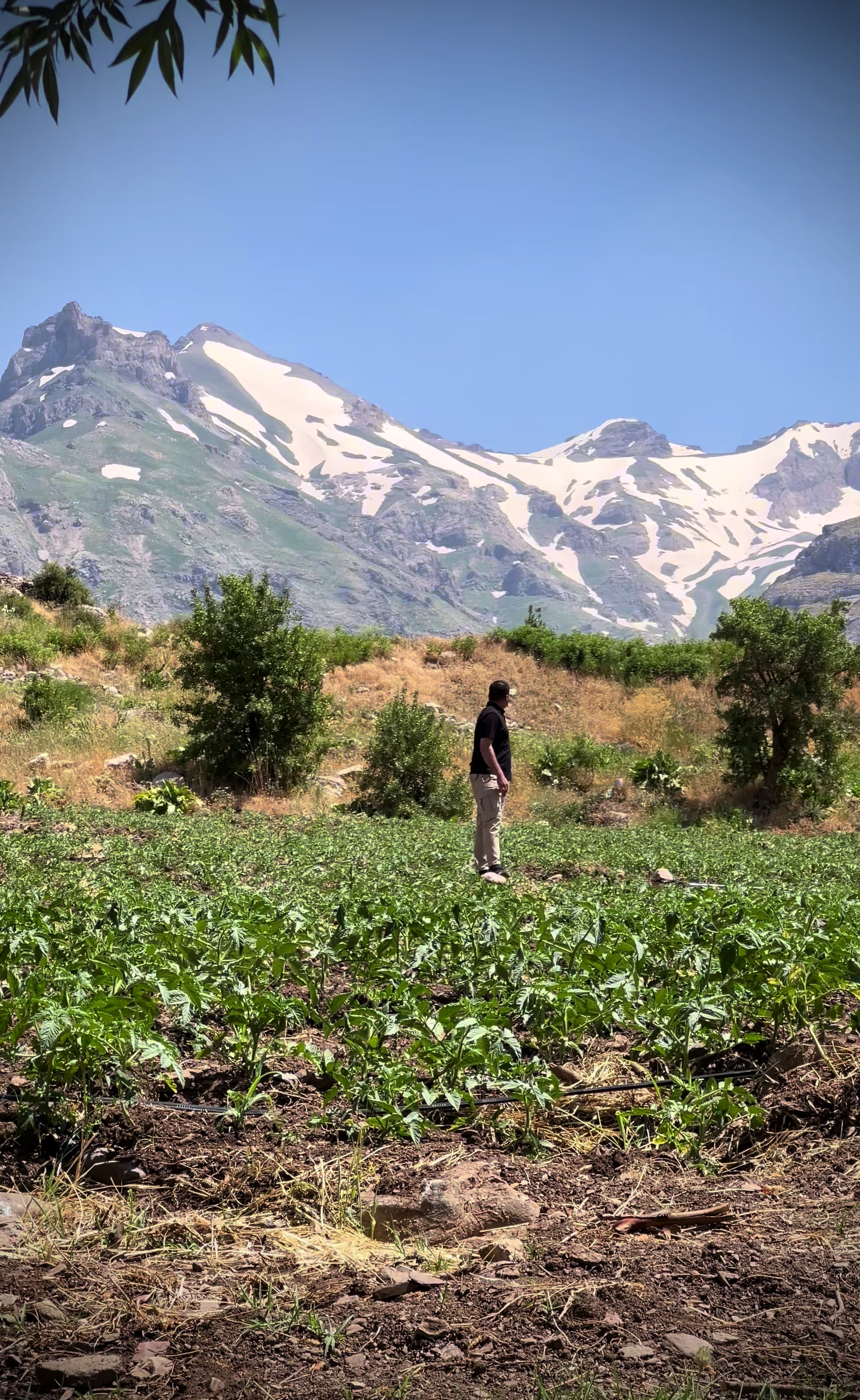 @ئاراز برادۆستی