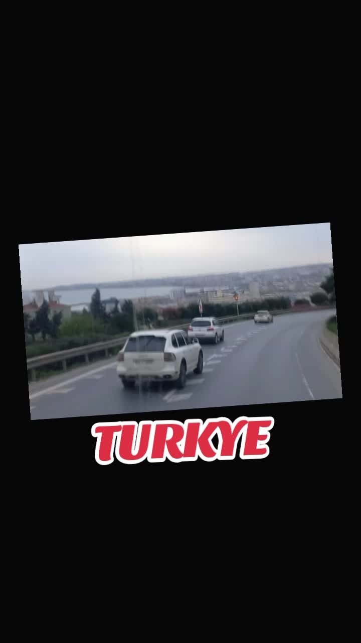@ELVEDIN