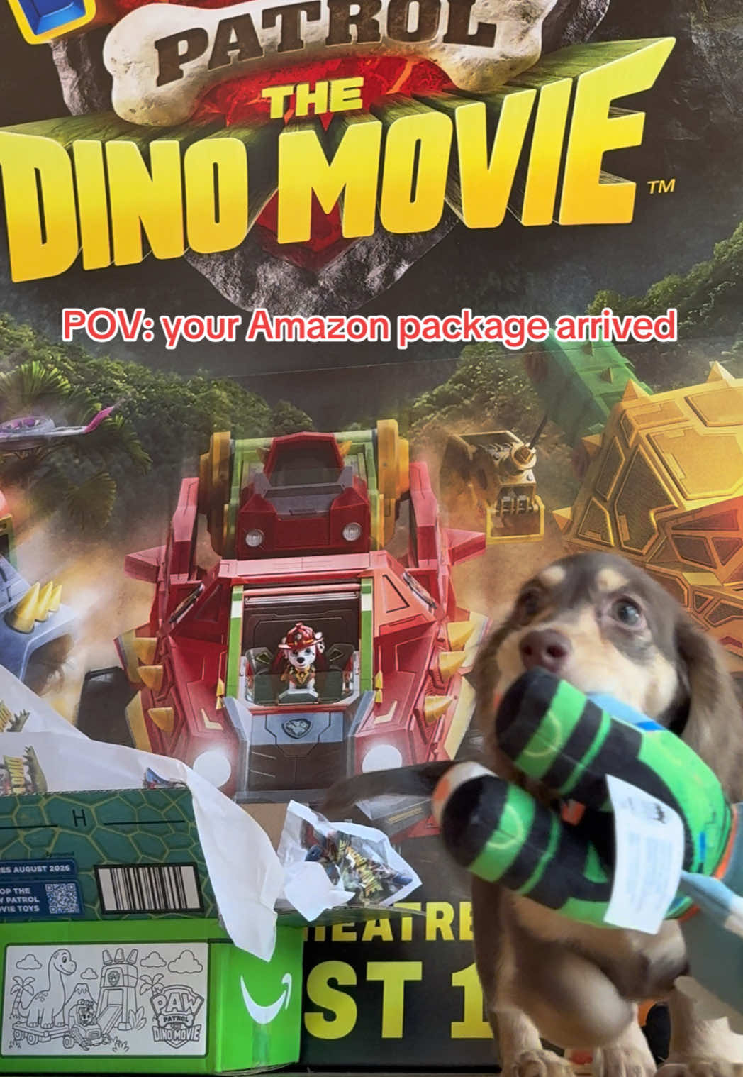 @pawpatrol