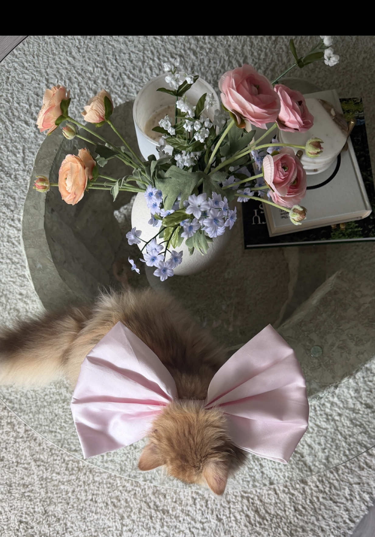 @Leia 🌸