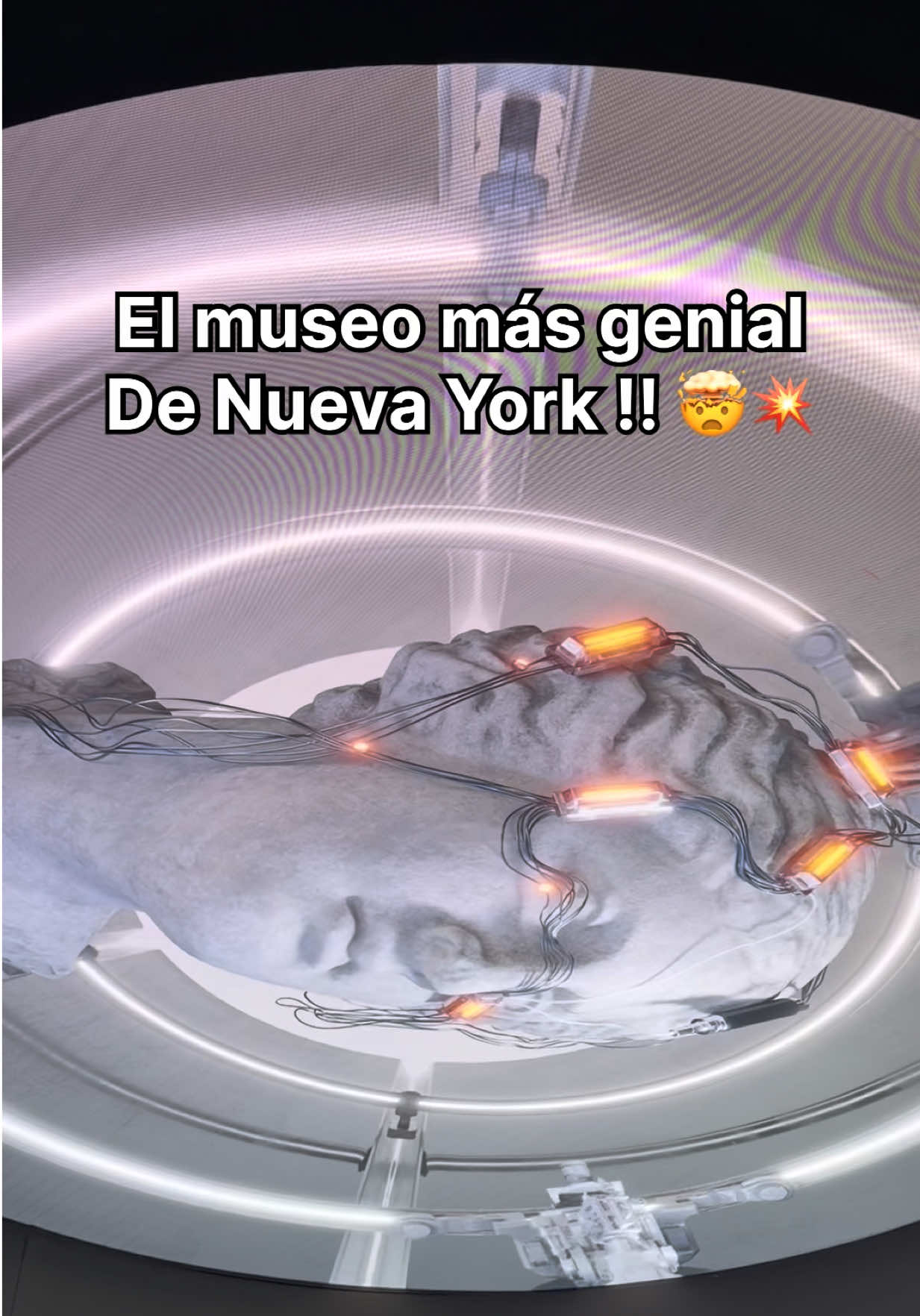 @Camilo Núñez